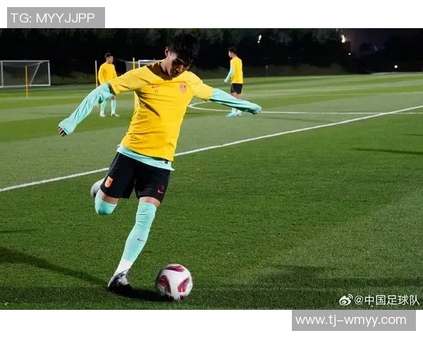 亚洲足球璀璨星光 十大顶级球员盘点与精彩表现解析