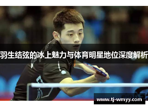 羽生结弦的冰上魅力与体育明星地位深度解析