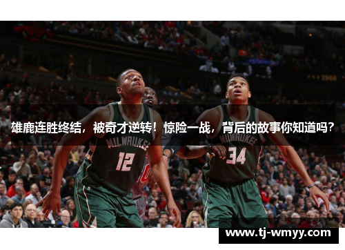 雄鹿连胜终结，被奇才逆转！惊险一战，背后的故事你知道吗？